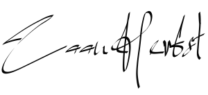 sig 3